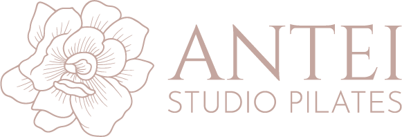 Antei Pilates